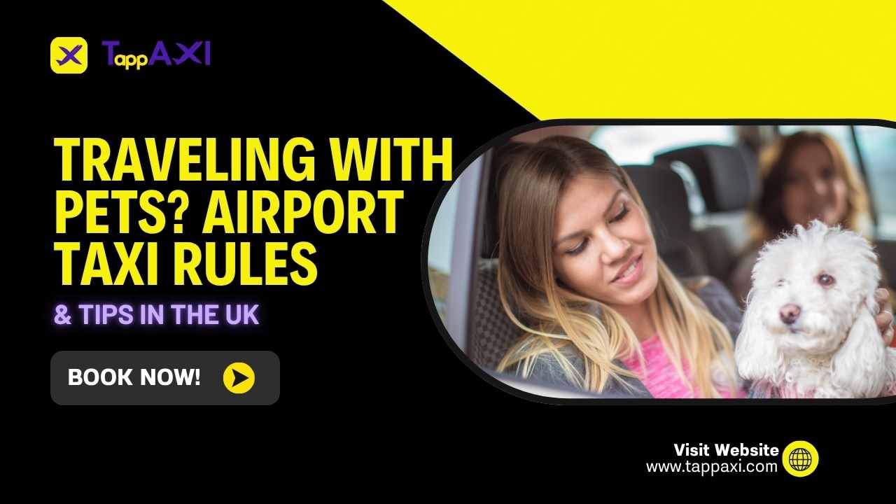 Tips for traveling with Pets in UK