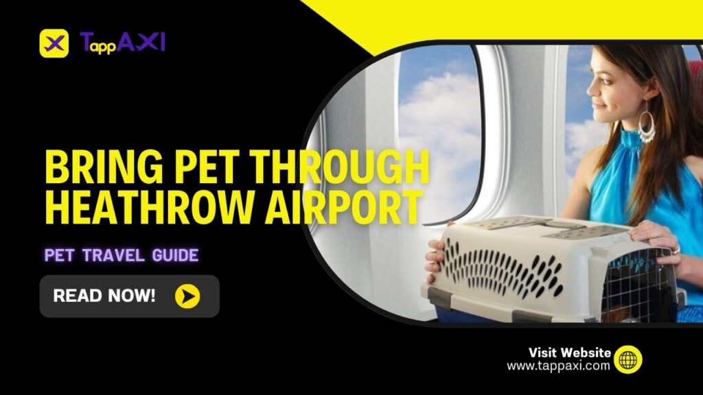How to Bring Pet Through Heathrow Airport | Pet Travel Guide