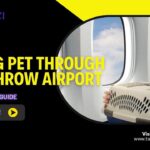 How to Bring Pet Through Heathrow Airport | Pet Travel Guide